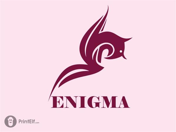 Enigma logo design